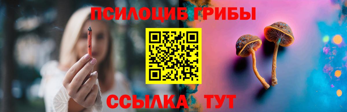 Галлюциногенные грибы мицелий  Вход с VPN  Котлас 